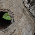 Hollow Core