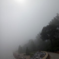 Foggy Trail