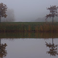 Reflections