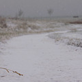 Snow Path